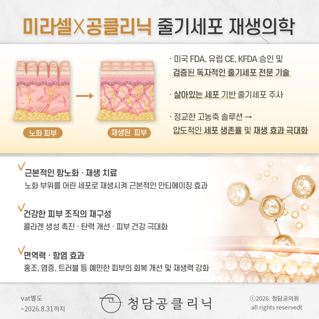 정방 피부리셋 2